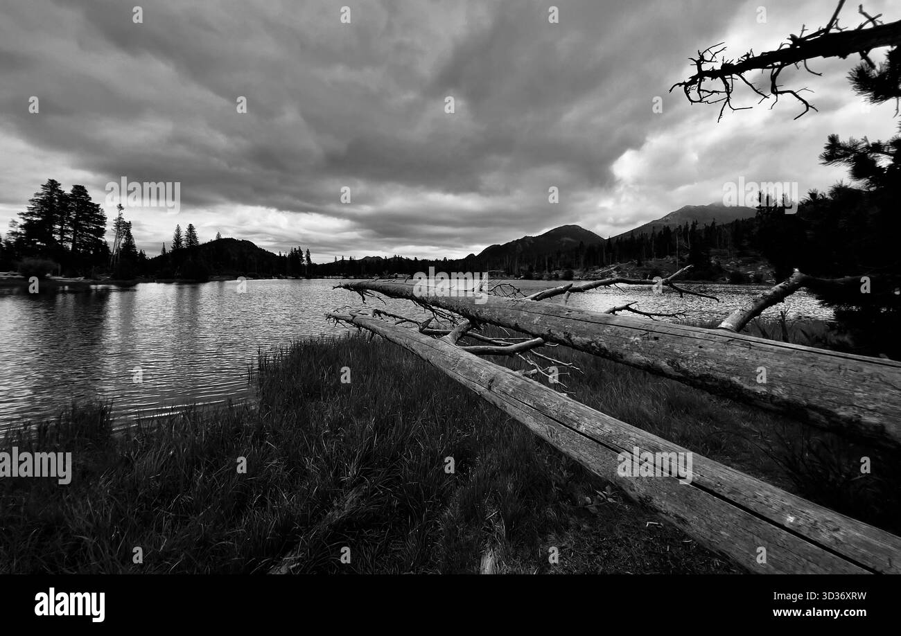 Il paesaggio bianco e nero estremamente suggestivo cattura il forte e alto contrasto di un lago di montagna sotto il cielo dolente. Lago Sprague nelle Montagne Rocciose. Foto Stock