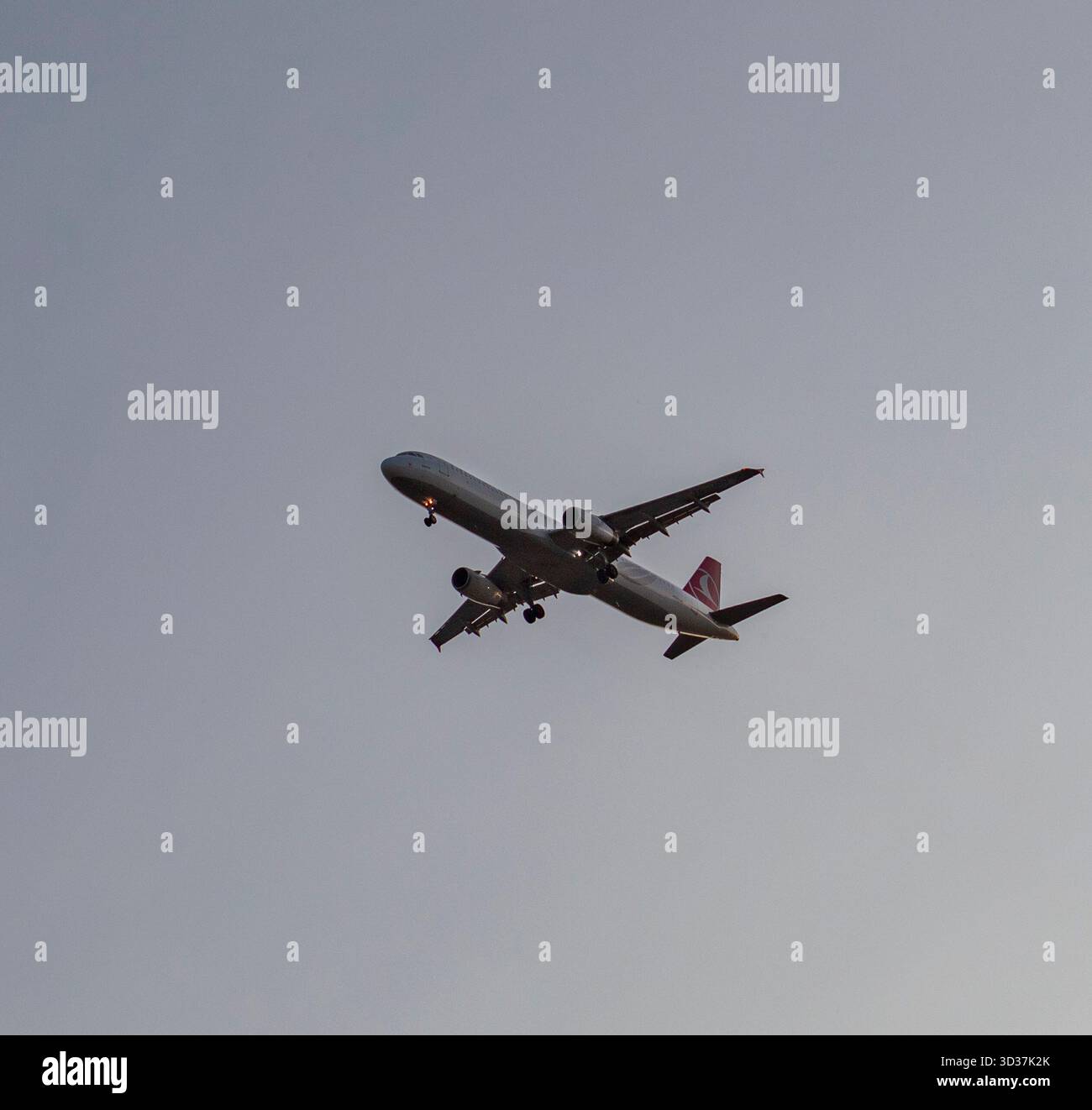 Aereo Pegasus Airlines in volo: Immagine dinamica dell'aviazione con marchio visibile e sfondo cielo. Foto Stock