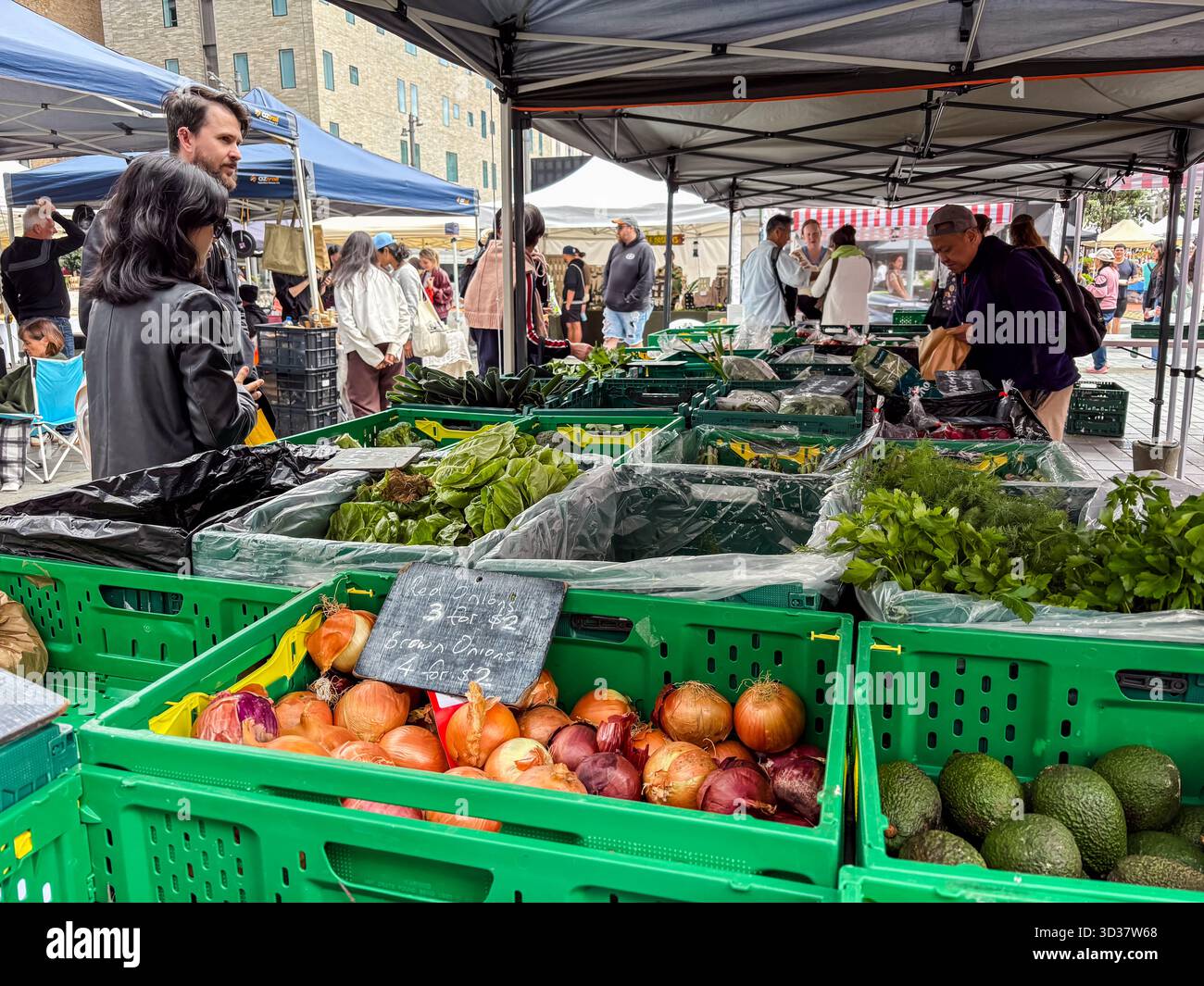 Mercato del sabato Britomart ad Auckland, nuova Zelanda, con prodotti freschi come cipolle, lattuga e avocado in vendita presso varie bancarelle. Foto Stock