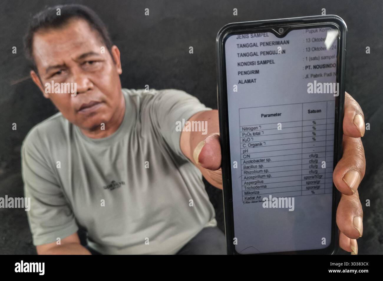 I fertilizzanti organici derivati da rifiuti di bestiame trasformati sono diventati una risorsa essenziale per gli agricoltori locali in risposta alla disponibilità incoerente di fertilizzanti inorganici sovvenzionati. Il 30 ottobre 2025 Purnomo, membro dello staff dell'impianto di lavorazione del compost di PT Nousindo Nusatara Agri, ha presentato l'Indonesia Oil Palm Research Institute (PPKS) Laboratory Analysis Certification a Patumbak, Deli Serdang, Sumatra settentrionale. Questa certificazione conferma che il concime compost locale soddisfa gli standard di qualità necessari per i requisiti nutrizionali del suolo e supporta gli industri fertilizzanti su piccola scala Foto Stock
