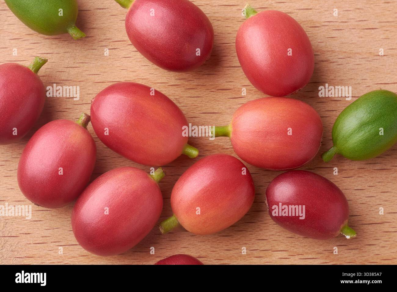 primo piano di ciliegie di caffè sparse su una superficie di legno marrone chiaro, frutti rossi maturi e verdi acuri con gambi prelevati dall'alto Foto Stock