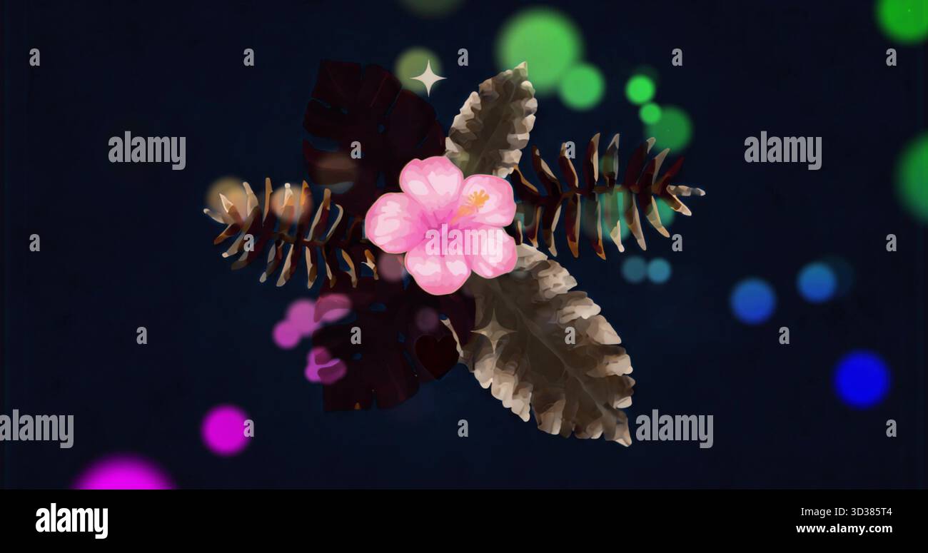 Mostra il fiore centrale di ibisco rosa su sfondo nero, con foglie tropicali e sfere bokeh Foto Stock