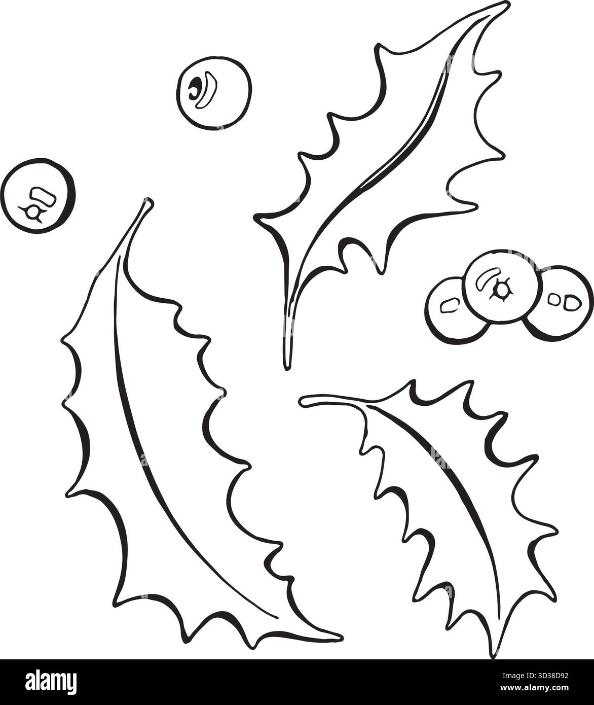 Illustrazione vettoriale in bianco e nero di una pianta di agrifoglio natalizio. Le grafiche natalizie sono disegnate a mano. Per la progettazione di imballaggi per le vacanze, tessuti Illustrazione Vettoriale