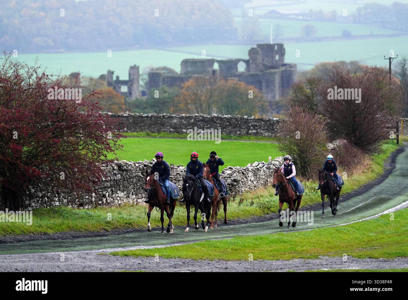 Cavalli a Middleham Moor Gallops, Leyburn. Data foto: Mercoledì 5 novembre 2025. Foto Stock