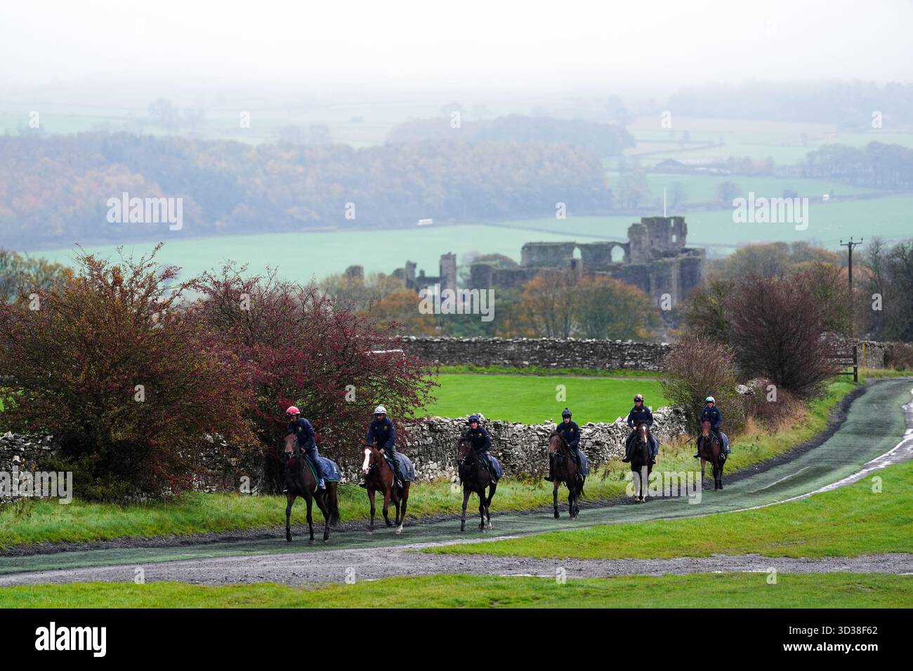 Cavalli a Middleham Moor Gallops, Leyburn. Data foto: Mercoledì 5 novembre 2025. Foto Stock