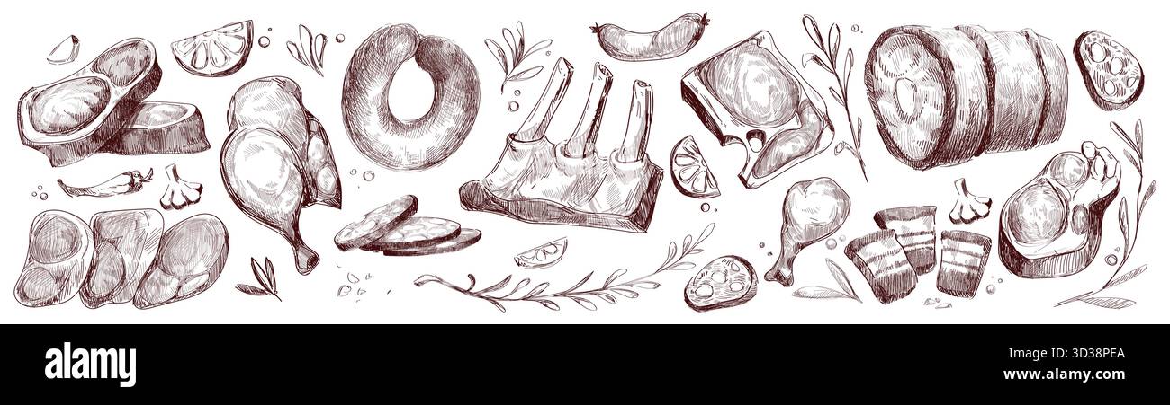 Collezione di schizzi di pezzi di carne cruda con illustrazione di vettoriali di cibo vintage. Fette trafilate a mano, bistecche, costolette e tagli di pollame - incisione di vari prodotti da macelleria con erbe aromatiche e condimenti. Illustrazione Vettoriale