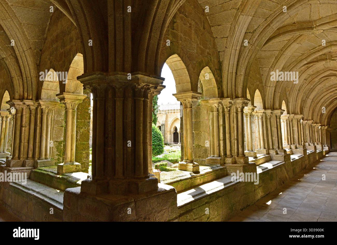 TUI o Tuy, cattedrale di Santa María (romanica e gotica, XII-XIII secolo). Chiostro (gotico cistercense, XIII secolo). Pontevedra, Galizia, Spagna. Foto Stock