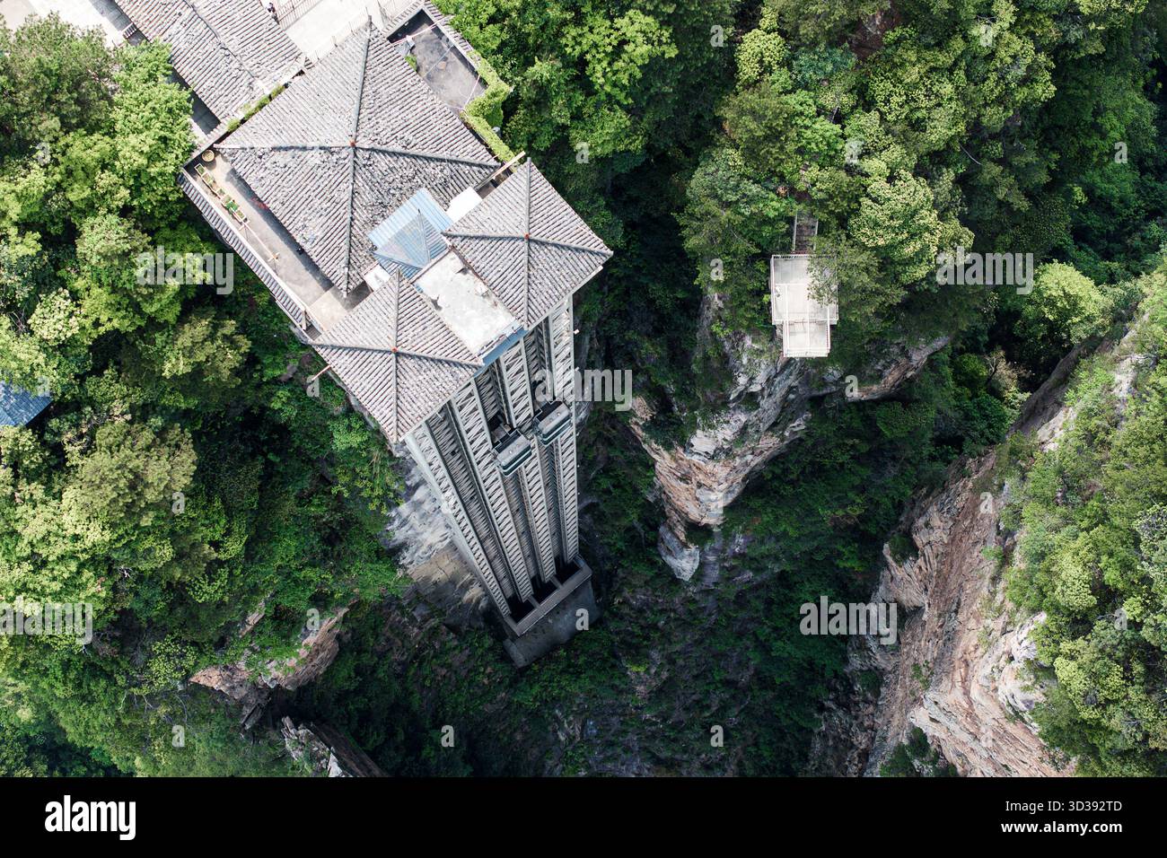Vista aerea dell'ascensore di Bailong che attraversa la lussureggiante e verde parete della scogliera, un netto contrasto con la bellezza naturale circostante, Zhangjiajie, Hunan, CH Foto Stock