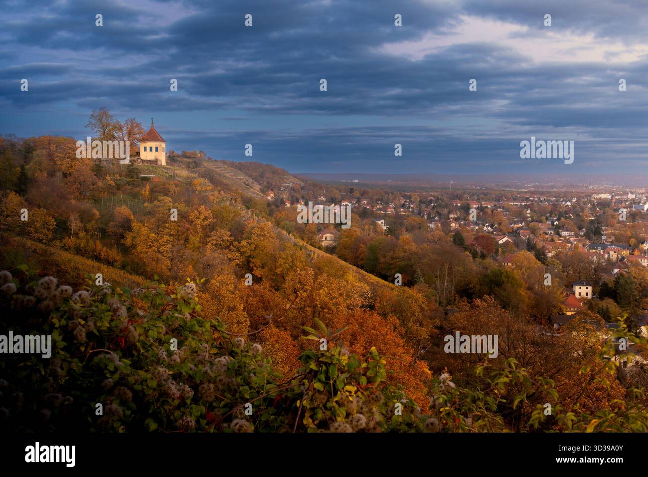 Vista panoramica autunnale della storica Minckwitzsches Weinberghaus su vigneti collinari che si affacciano sulla città di Radebeul sotto il cielo spettacolare, la Sassonia e la Germa Foto Stock