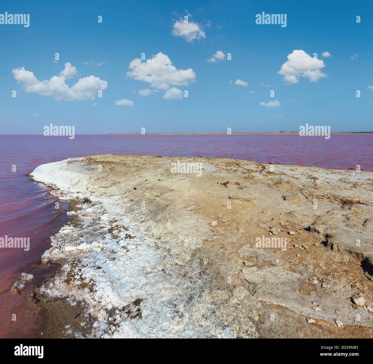Rosa estremamente salato Lago Syvash, colorato da microalghe con deposizioni di sale cristalline. Noto anche come Mare dei putridi o Mare dei Rotten. Ucraina, regione di Kherson, vicino alla Crimea e Arabat Spit. Foto Stock