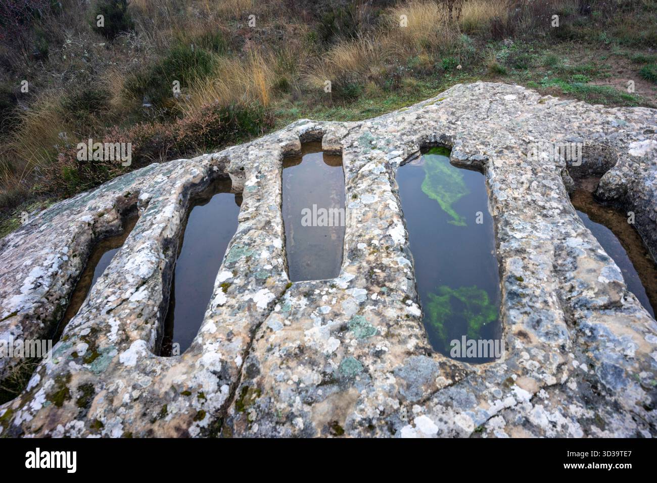 Necropoli di Santiuste a Corvio, Palencia, Comunità autonoma di Castiglia e León, Spagna, Foto Stock