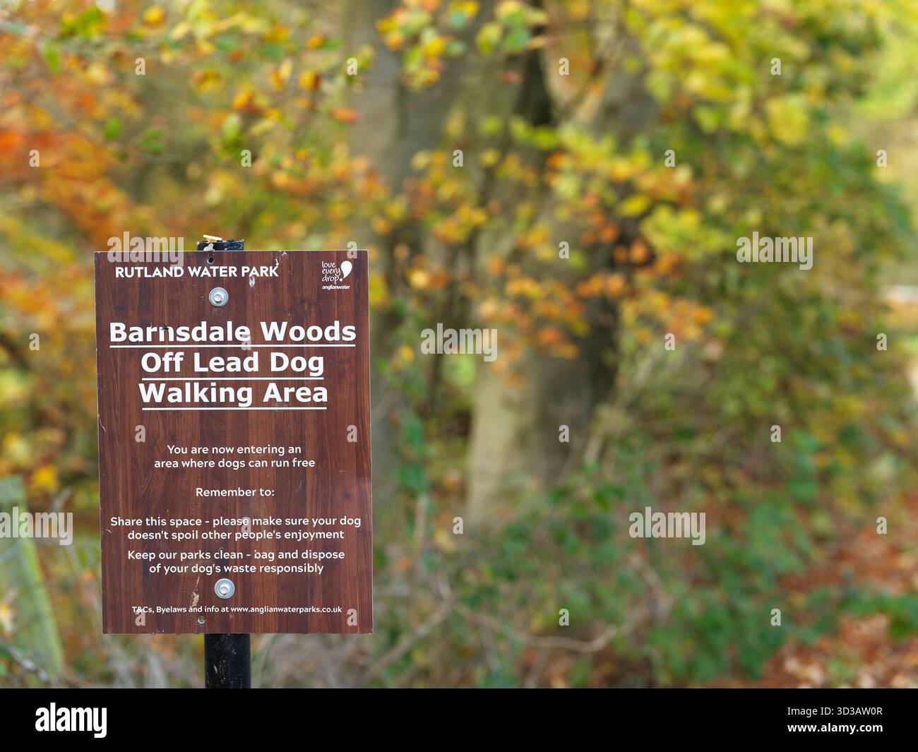 Fuori dall'area pedonale con cani in piombo in un bosco, Rutland, Inghilterra. Foto Stock