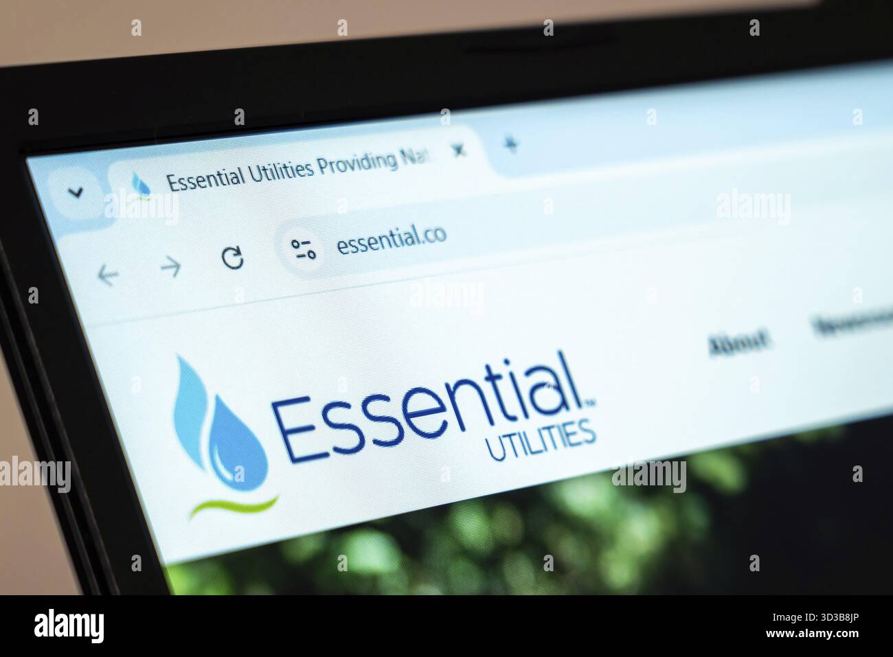 New York, USA - 7 gennaio 2025: Homepage del sito Essential Utilities dedicata ai servizi di gestione delle acque e delle acque reflue Foto Stock