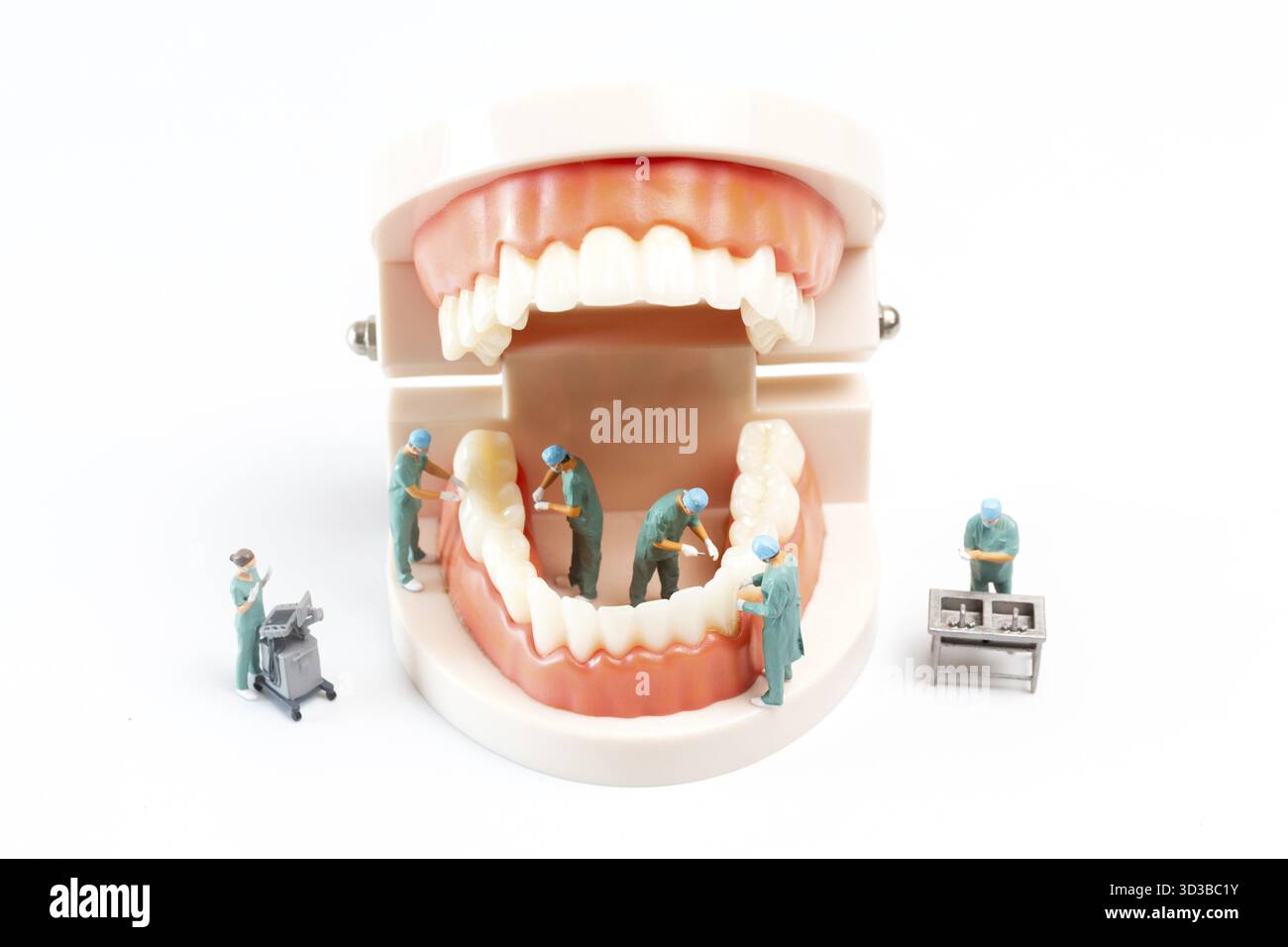 Persone in miniatura, dentista che ripara i denti umani con gengive e smalto, salute e concetto medico Foto Stock