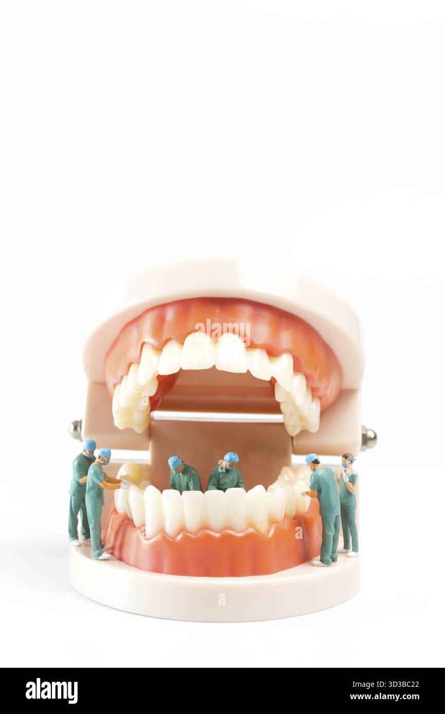 Persone in miniatura, dentista che ripara i denti umani con gengive e smalto, salute e concetto medico Foto Stock