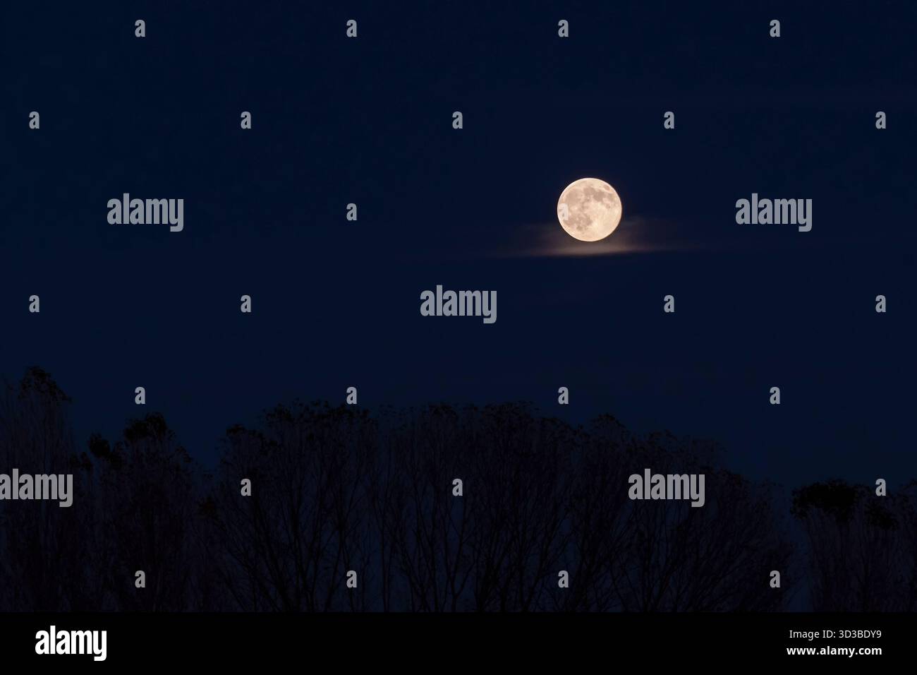 Luna piena del 5 novembre 2025, vista dalla provincia di Pisa, Italia Foto Stock