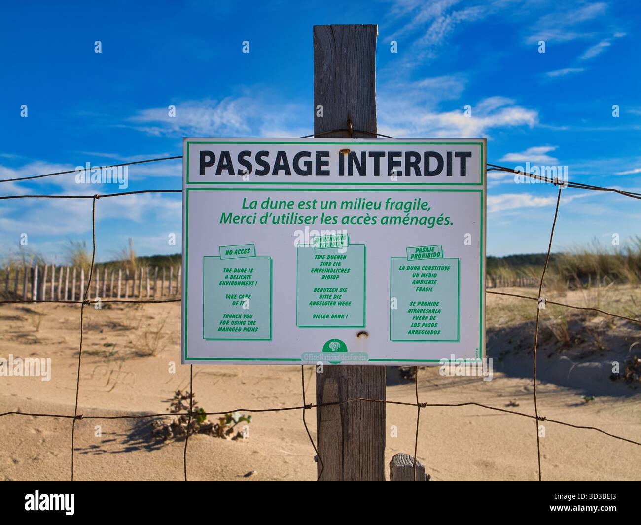 Moliets-et-Maa, Francia - 07 ottobre 2025: Cartello segnaletico con la scritta "Passage Interdit" blocca l'accesso ad una duna protetta sulla spiaggia di Moliets-et-Maa, Francia, sotto il cielo azzurro del tardo pomeriggio. Foto Stock