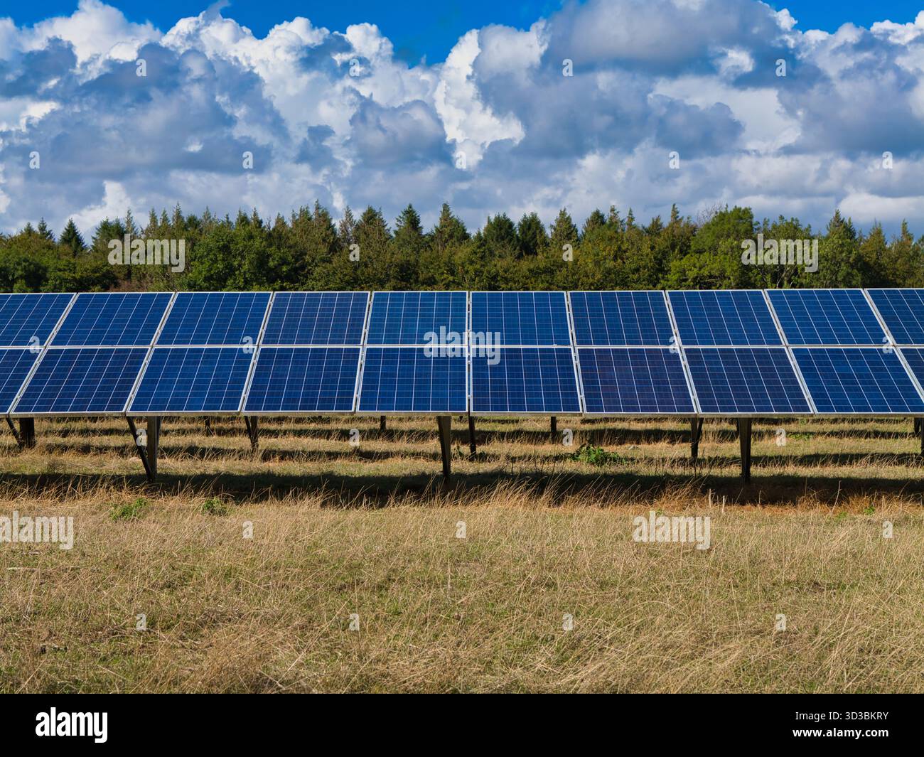 Somerset, Regno Unito - 04 settembre 2025: File di pannelli fotovoltaici commerciali si estendono attraverso un campo erboso sotto nuvole drammatiche a Somerset, Regno Unito, catturando clea Foto Stock