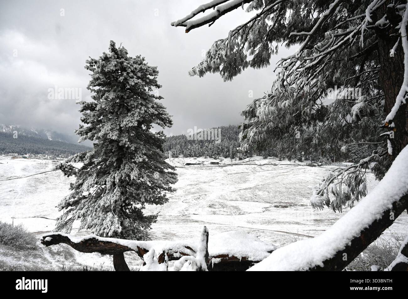 BARAMULLA, INDIA - 5 NOVEMBRE: Una vista della stazione sciistica innevata di Gulmarg durante la prima nevicata stagionale nella valle del Kashmir il 5 novembre 2025 a Baramulla, India. Le nevicate hanno innevato numerose località ad alta quota in tutto il Kashmir, tra cui Gulmarg, Sonamarg, Baltal, passo Zojila, Razdan Top, Gurez Valley, Sinthan Top, Peer Ki Gali e Tulail. I turisti che si recavano a Gulmarg erano entusiasti e si sono ritenuti fortunati ad aver vissuto una nevicata fresca che prometteva ricordi indimenticabili dall'iconica località sciistica. Foto di Waseem Andrabi/Hindustan Times Kashmir Valley Experie Foto Stock