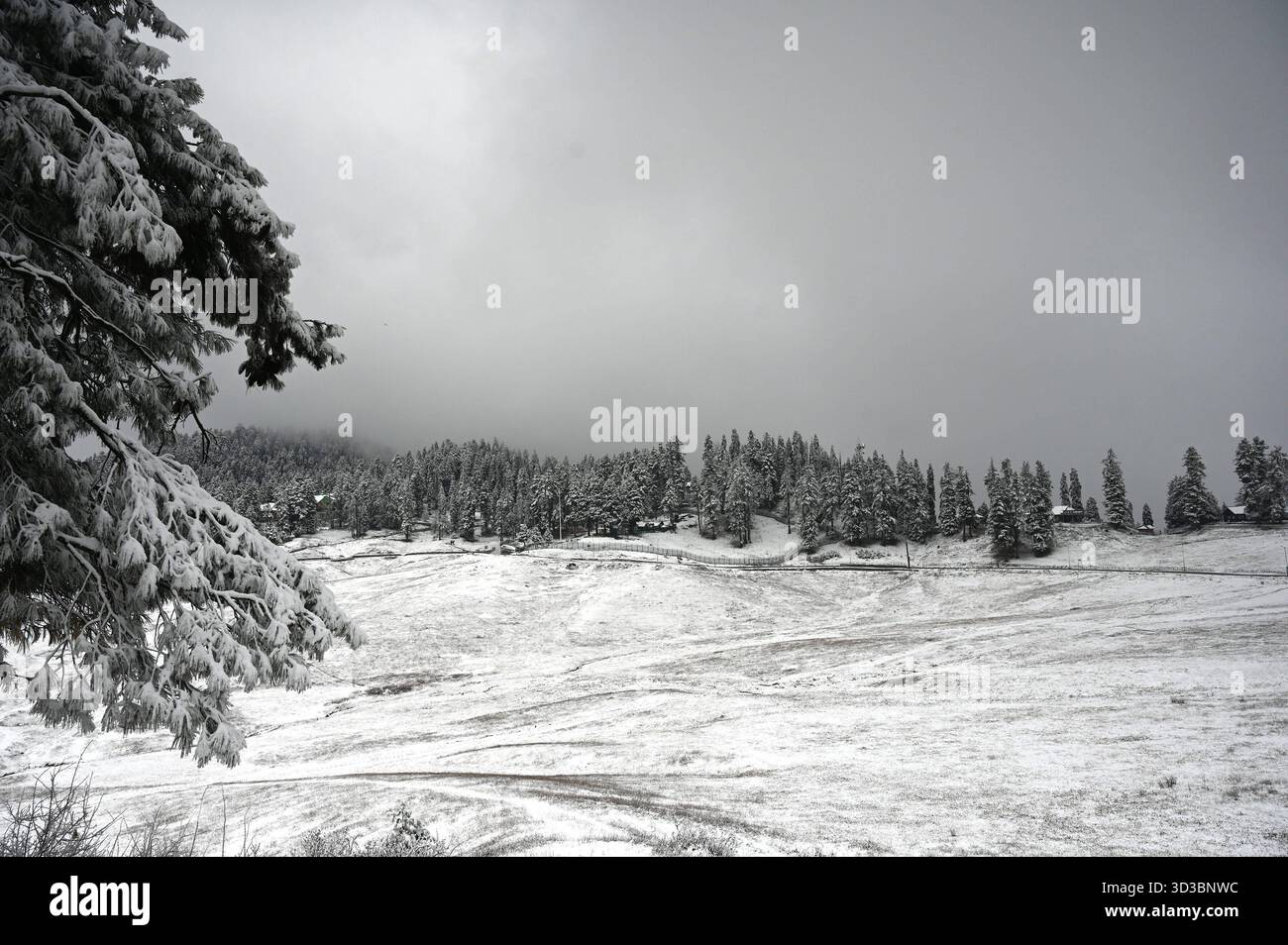 BARAMULLA, INDIA - 5 NOVEMBRE: Una vista della stazione sciistica innevata di Gulmarg durante la prima nevicata stagionale nella valle del Kashmir il 5 novembre 2025 a Baramulla, India. Le nevicate hanno innevato numerose località ad alta quota in tutto il Kashmir, tra cui Gulmarg, Sonamarg, Baltal, passo Zojila, Razdan Top, Gurez Valley, Sinthan Top, Peer Ki Gali e Tulail. I turisti che si recavano a Gulmarg erano entusiasti e si sono ritenuti fortunati ad aver vissuto una nevicata fresca che prometteva ricordi indimenticabili dall'iconica località sciistica. Foto di Waseem Andrabi/Hindustan Times Kashmir Valley Experie Foto Stock