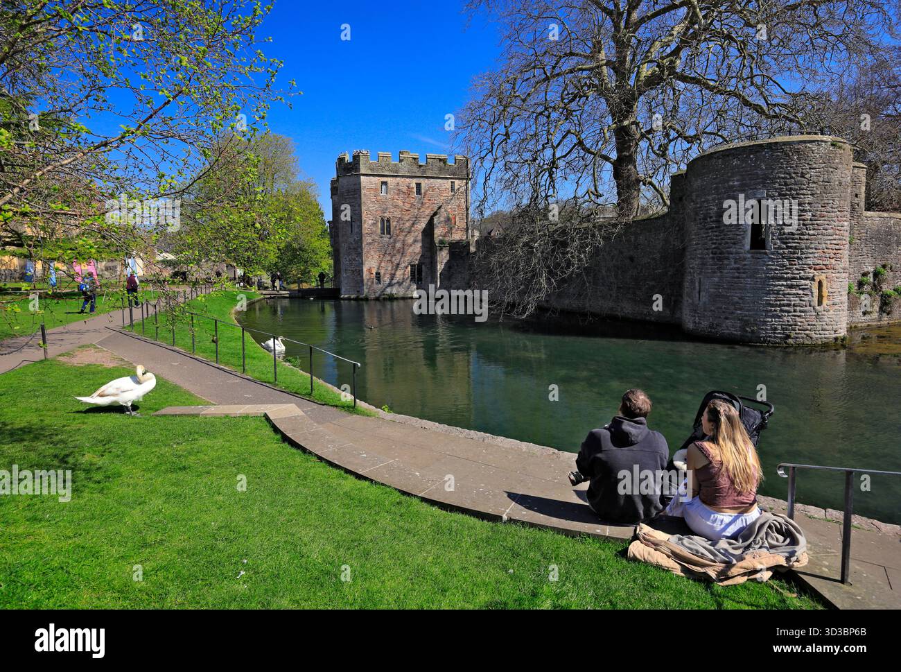Palazzo dei Vescovi e Moat, Wells, Somerset. Foto Stock