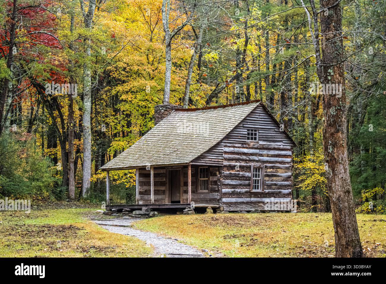 Storica Carter Shields Cabin a Cades Cove nel Great Smoky Mountains National Park vicino a Townsend, Tennessee. (USA) Foto Stock