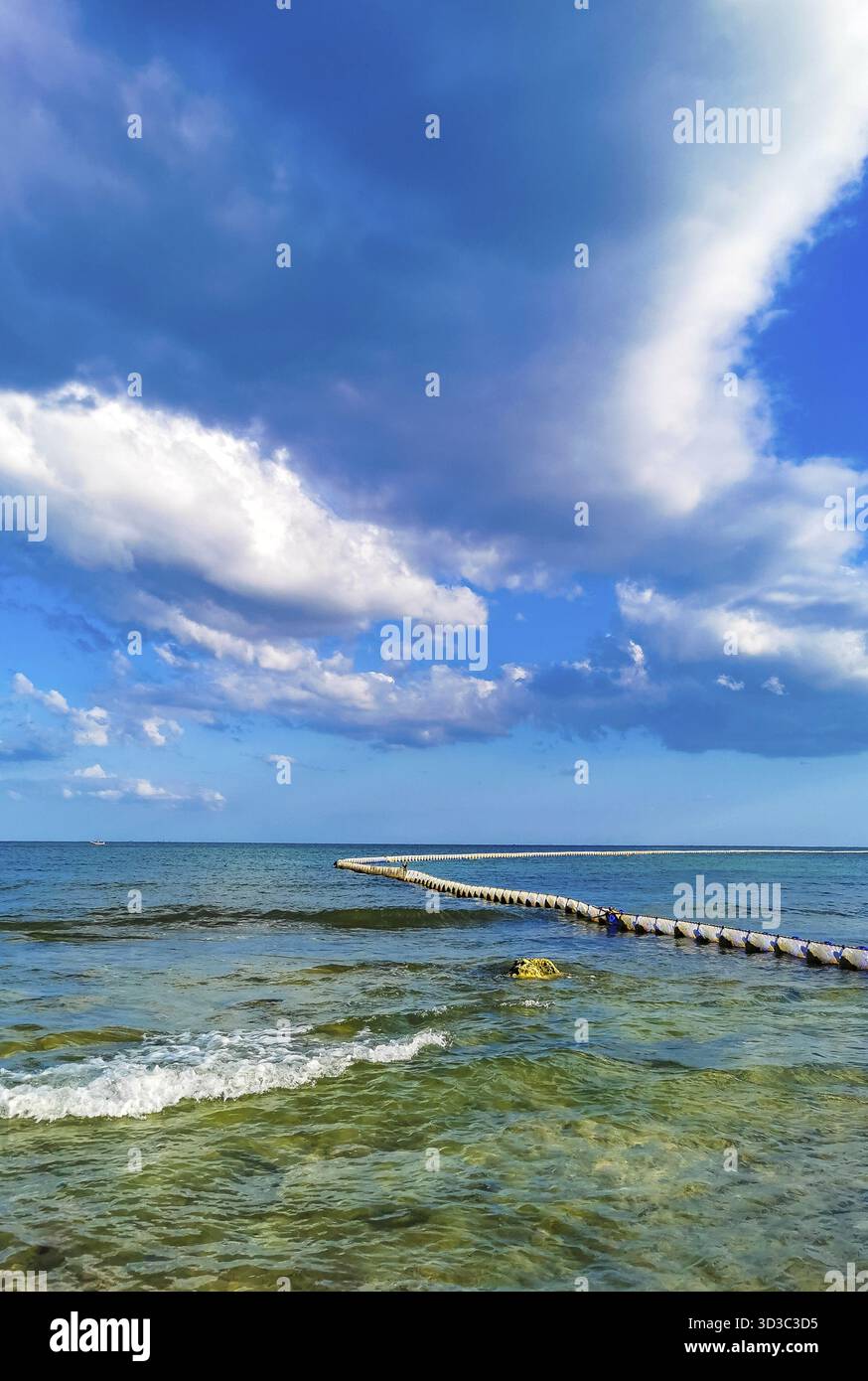 Un grosso problema disgustoso alla spiaggia tropicale messicana dei caraibi, con la rete di alghe marine Sargazo in acque turchesi e cristalline a Playa del Carmen, Messico Foto Stock
