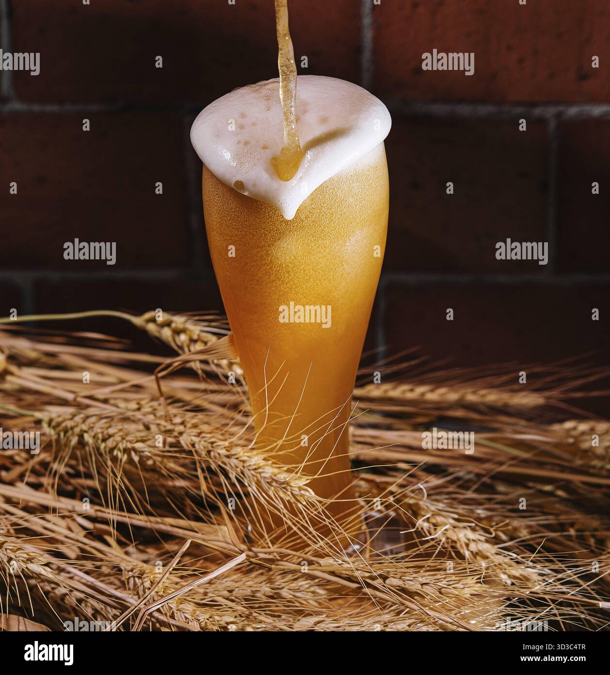 Cibo, versare birra nel bicchiere con le orecchie di grano Foto Stock