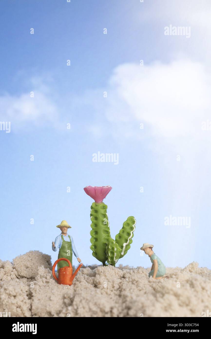 Giardiniere in miniatura che lavora sulle piante di cactus, concetto di hobby per il giardinaggio domestico Foto Stock