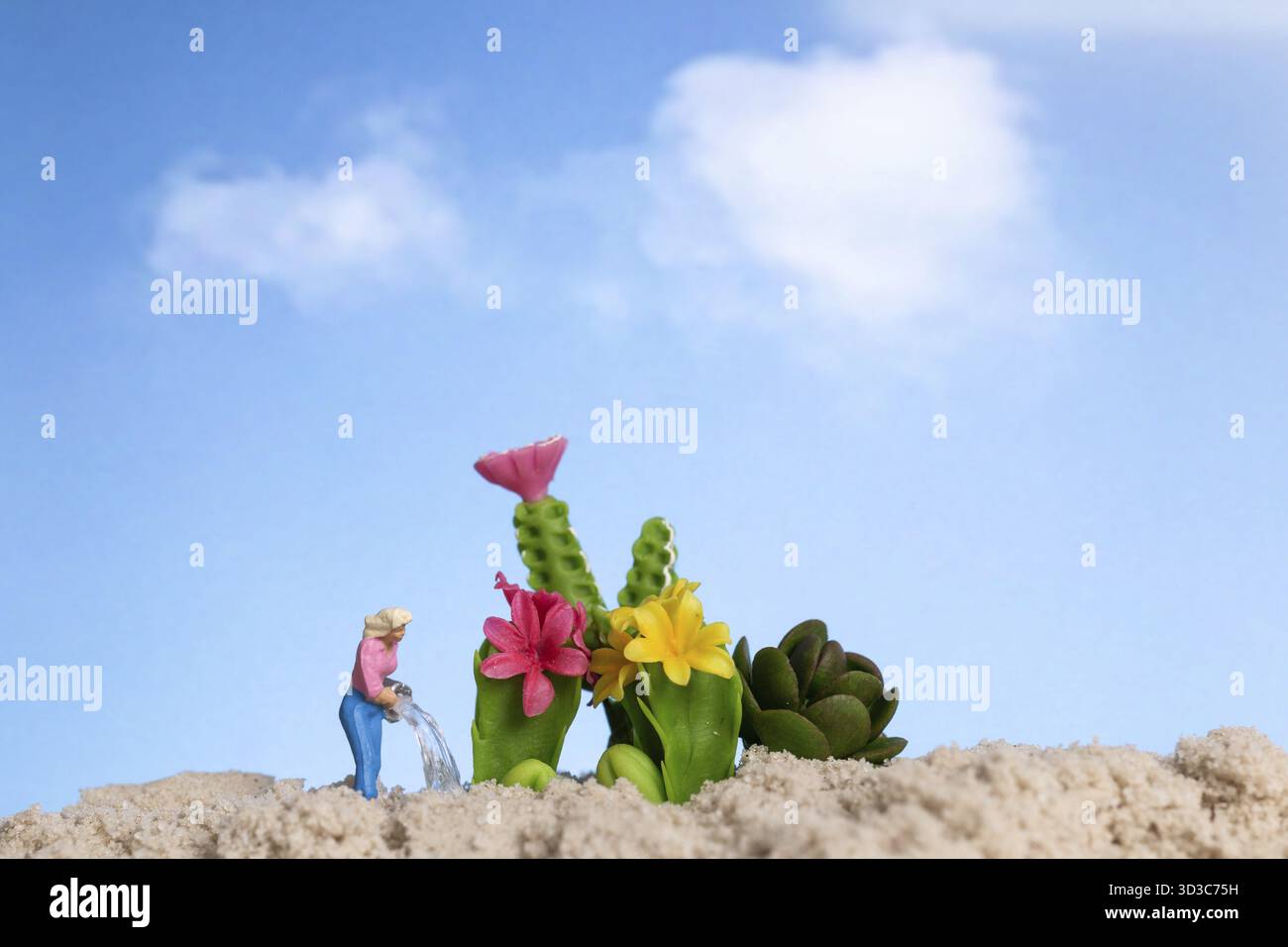 Giardiniere in miniatura che lavora sulle piante di cactus, concetto di hobby per il giardinaggio domestico Foto Stock