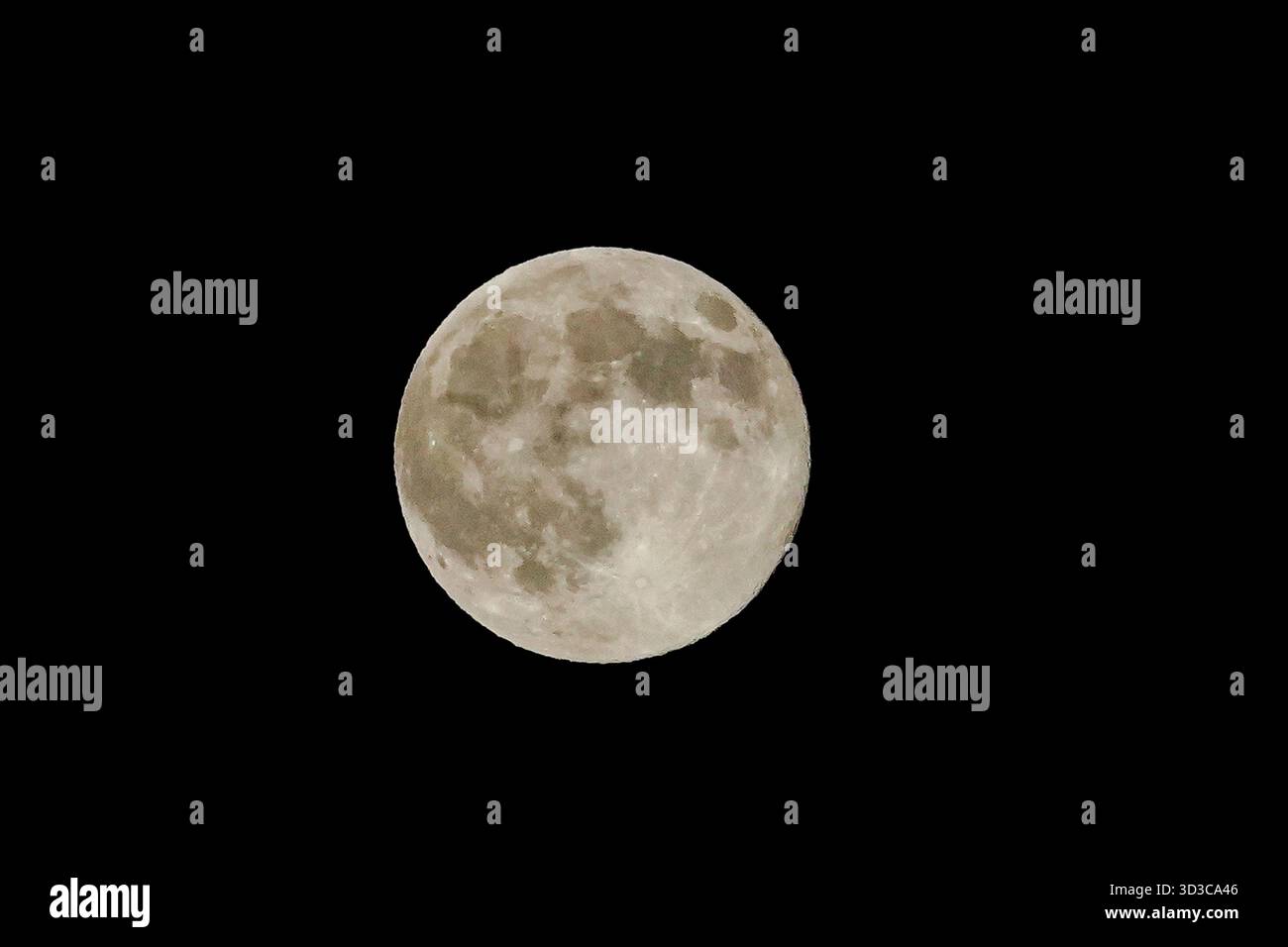 Riehen, Svizzera, 5 novembre 2025: La Supermoon sorge su Riehen, Svizzera, il 5 novembre 2025. La luna appare significativamente più grande e b Foto Stock
