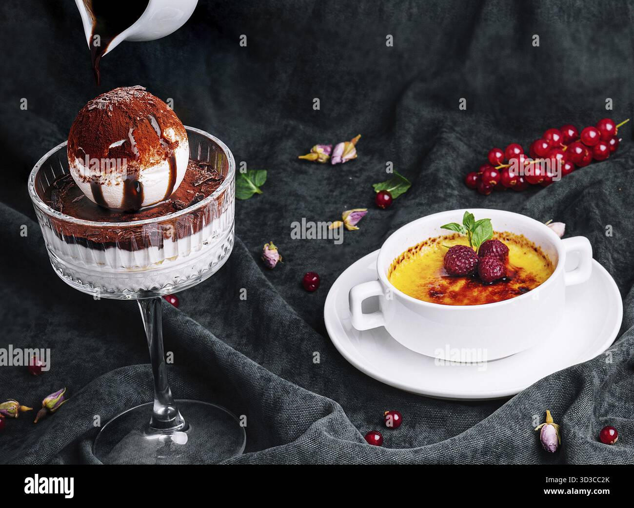 Cibo, crema brulee dessert e tiramisù da vicino Foto Stock
