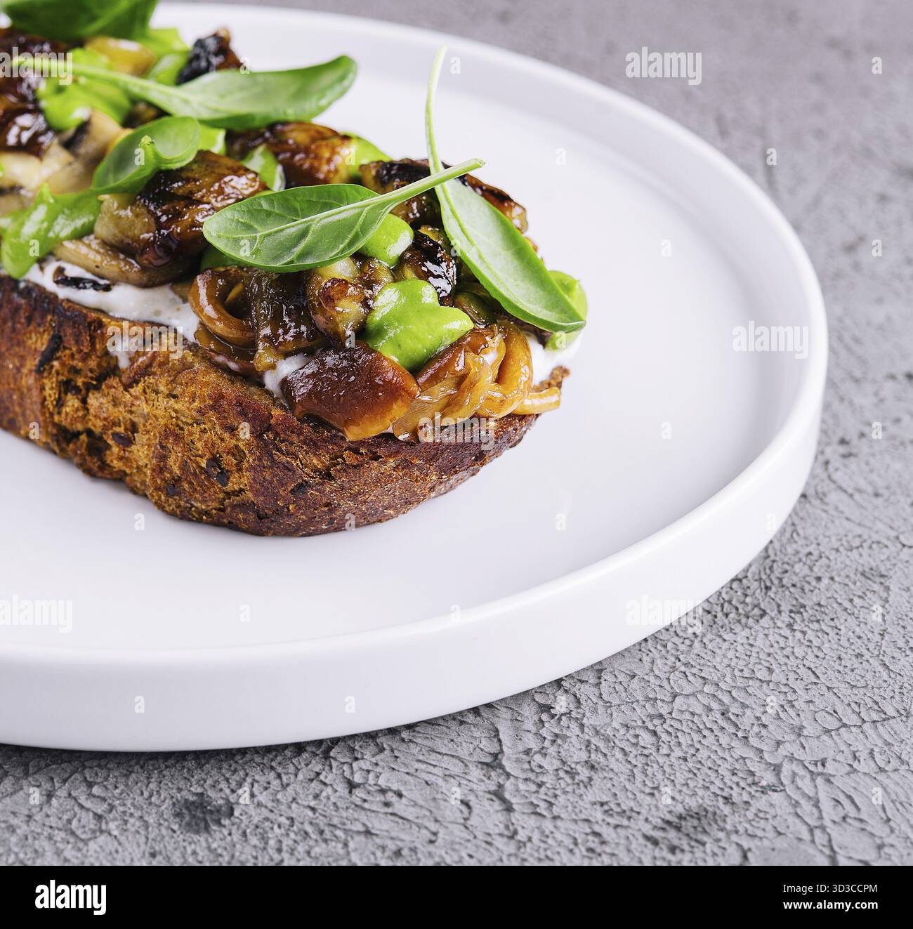 Cibo, toast con funghi porcini fritti su un piatto bianco Foto Stock