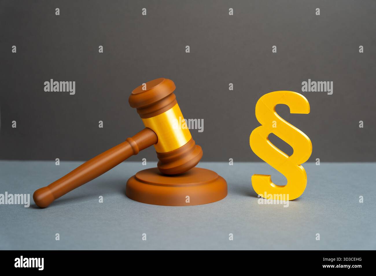 Il martelletto del giudice e il simbolo del paragrafo. Leggi e leggi. Adozione di leggi, atti e modifiche della legislazione. Normativa e fiscale. Au. Legislativo Foto Stock