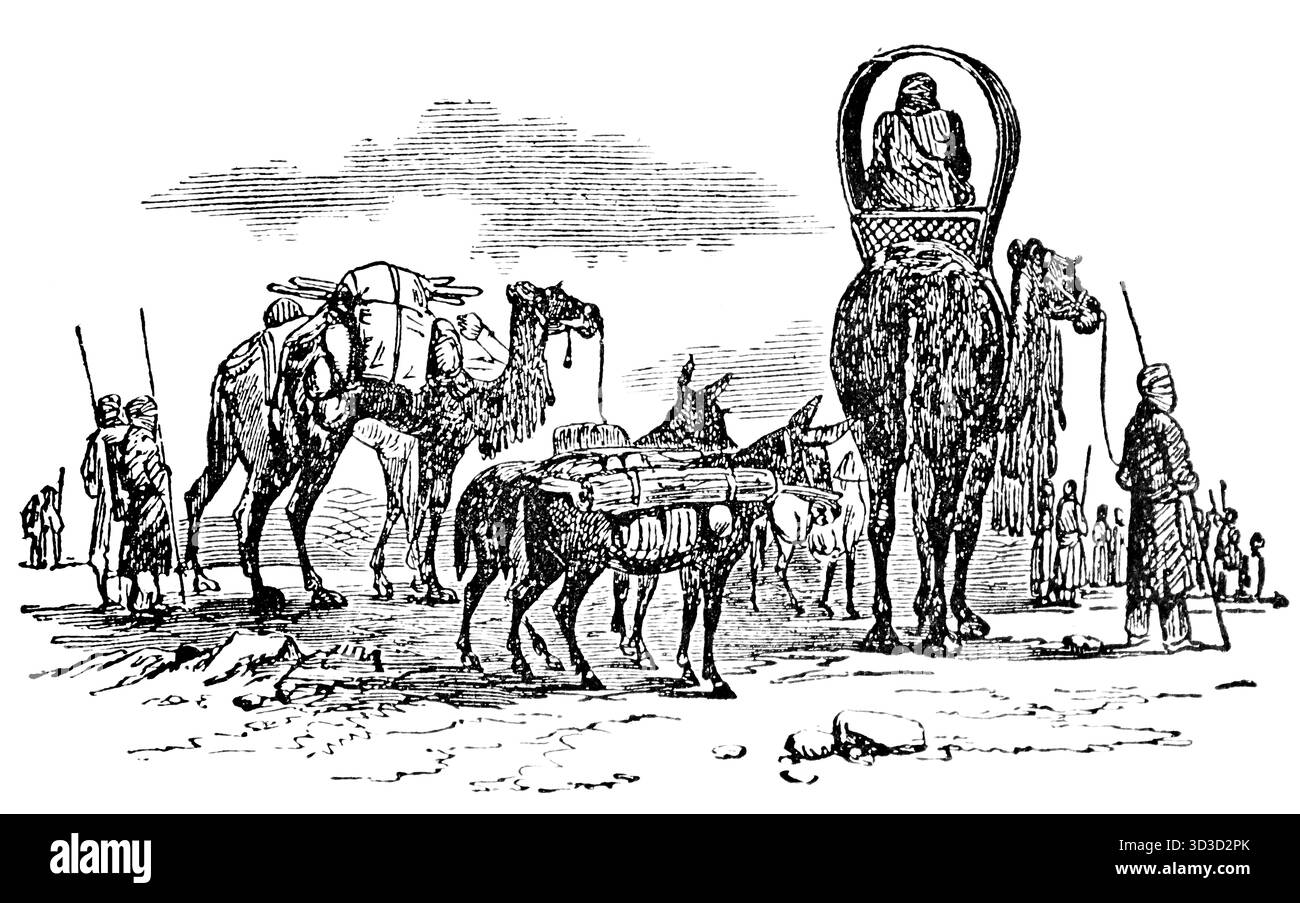 Donne che viaggiano vicino a Timbuktu a dorso di cammelli, Timbuktu, Mali, Africa, illustrazione storica 1900 Foto Stock