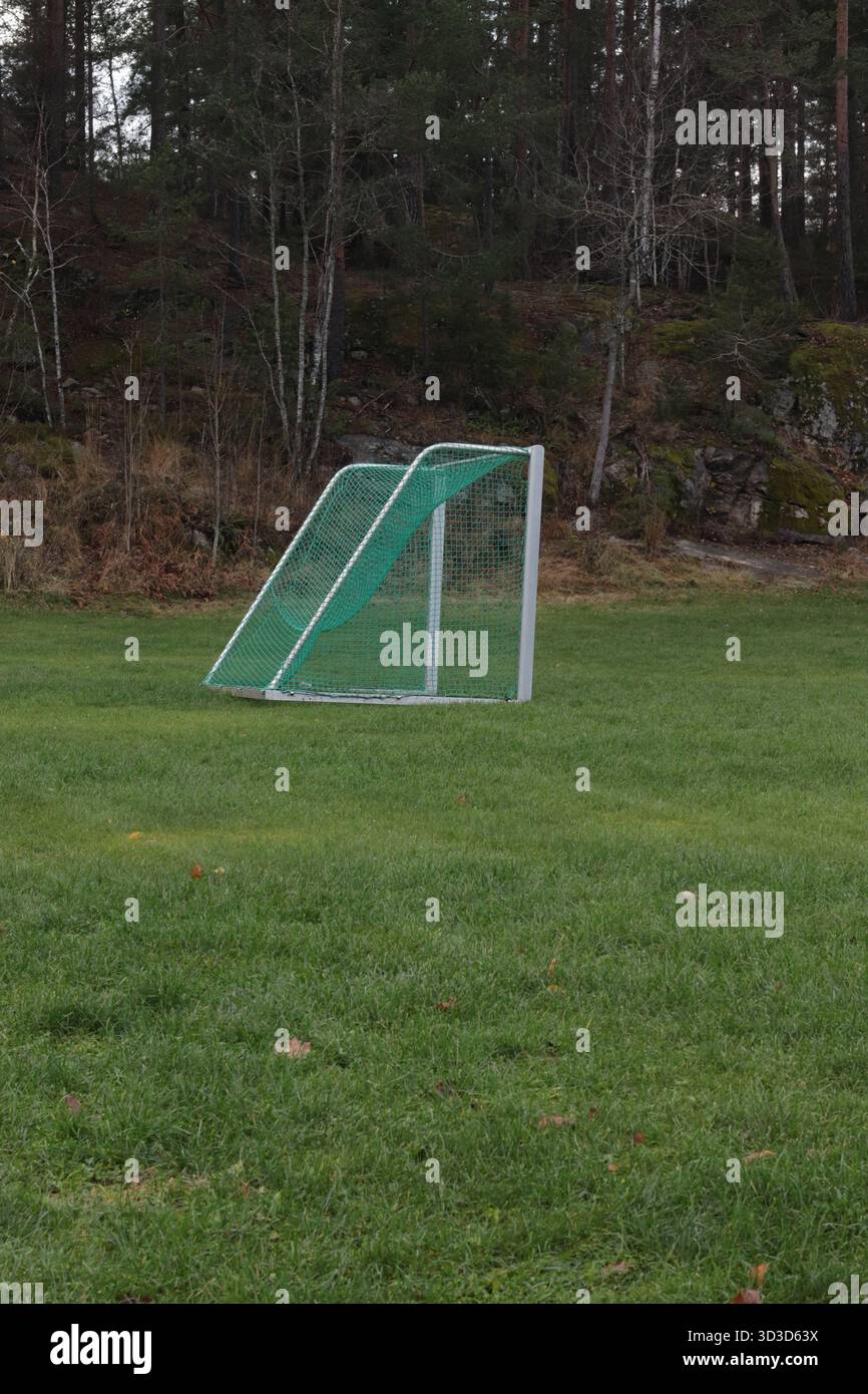 Obiettivo di calcio vuoto sul green Field: Concetto minimalista di sport all'aperto e stile di vita sano Foto Stock