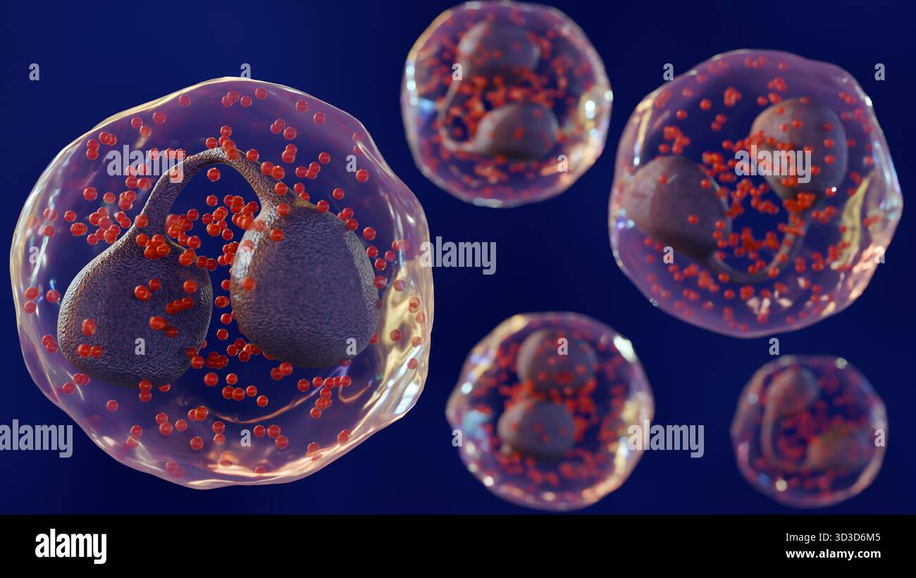 Una rappresentazione 3d degli eosinofili è un tipo di leucociti o leucociti. Foto Stock