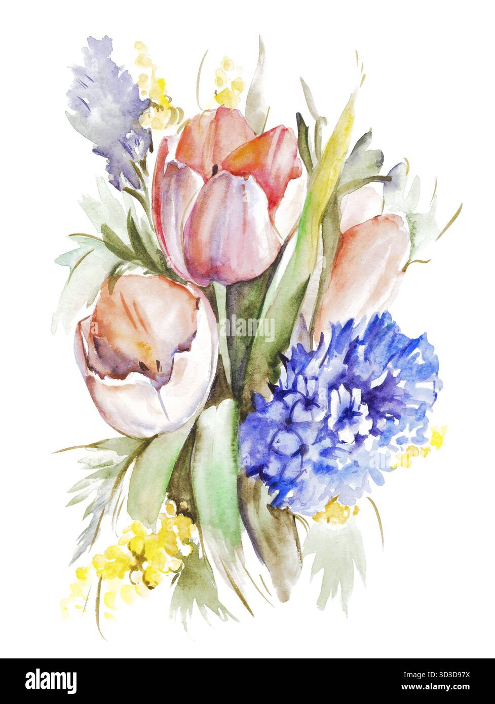 Bouquet di tulipani di acquerello isolato su bianco Foto Stock