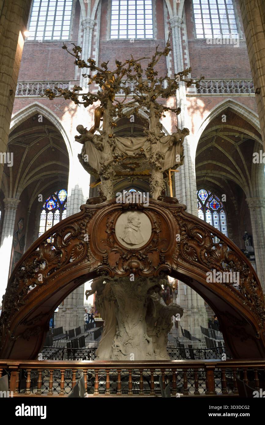 Cattedrale di San Bavone, Gand, Belgio, Europa Foto Stock