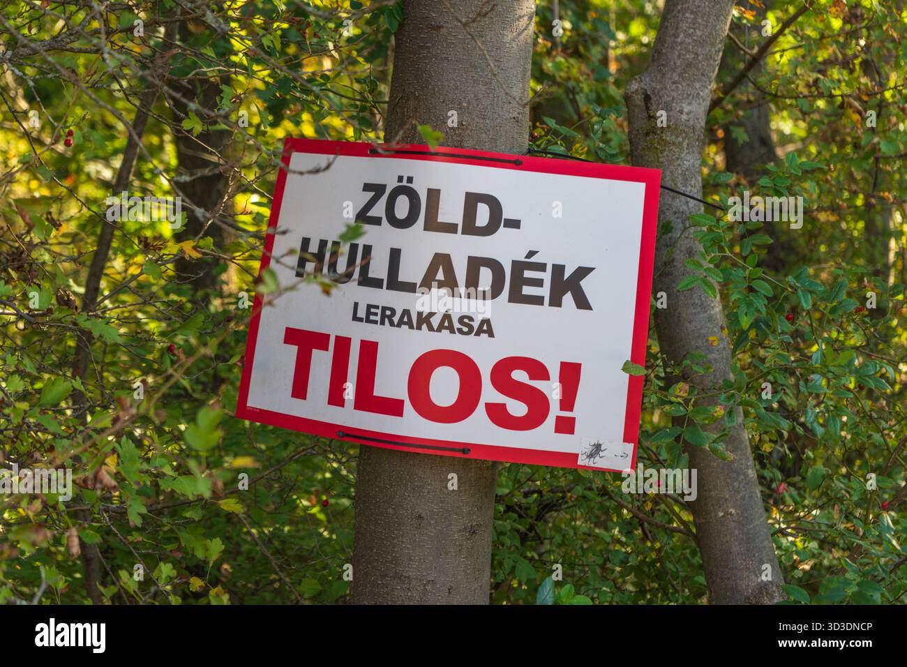 Segnale di avvertimento in una foresta ungherese che proibisce lo scarico dei rifiuti verdi nel quadro degli sforzi in corso per la protezione ambientale. Foto Stock