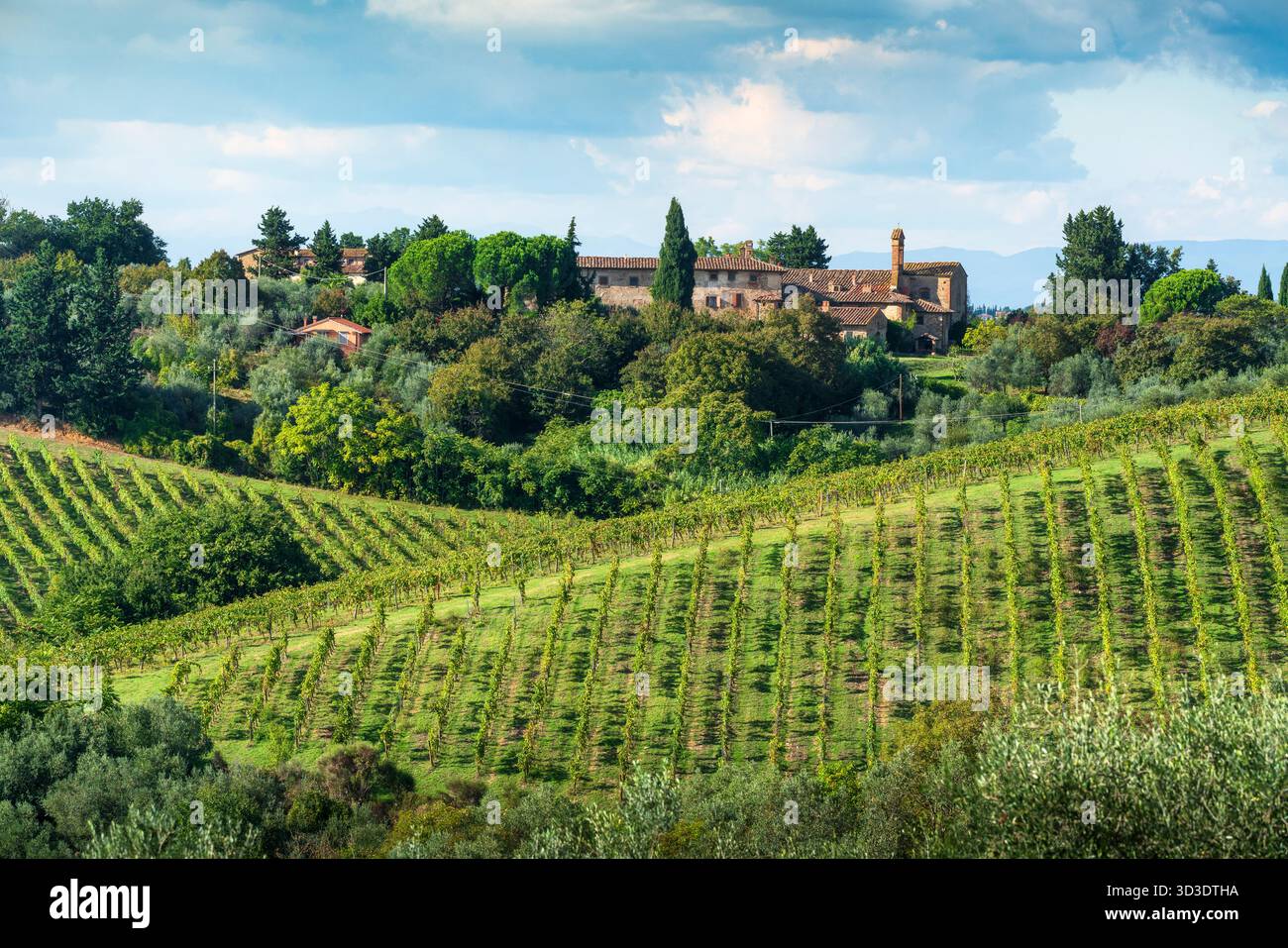 Vista rurale dei vigneti e degli oliveti nella regione vinicola del Chianti in autunno, Toscana. La storica chiesa romanica di Sant'Angelo a Vico l'Abate Foto Stock