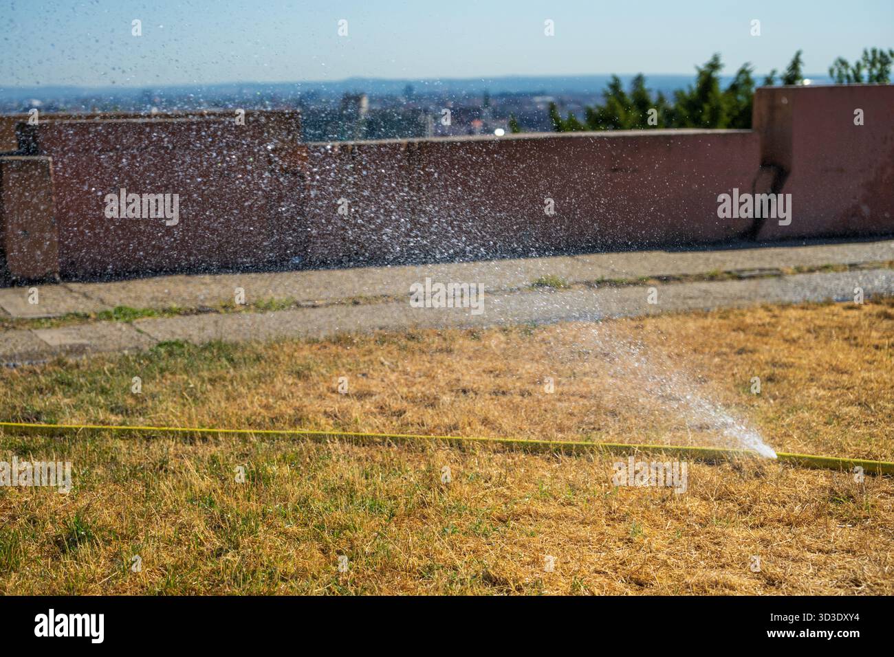 L'irrigatore irriga l'erba secca sulla collina di Gellért, Budapest, una scena estiva che mostra l'irrigazione urbana durante il caldo e la siccità. Foto Stock