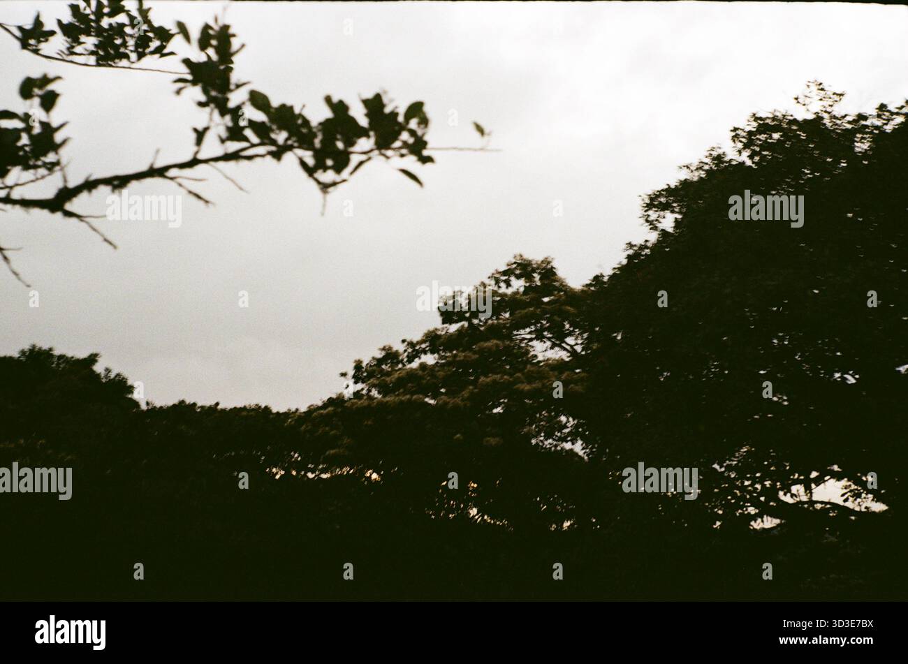 Un viaggio mozzafiato attraverso i paesaggi selvaggi della Costa Rica: Vulcani nebbiosi, cascate nascoste, foreste lussureggianti e laghi tranquilli Foto Stock
