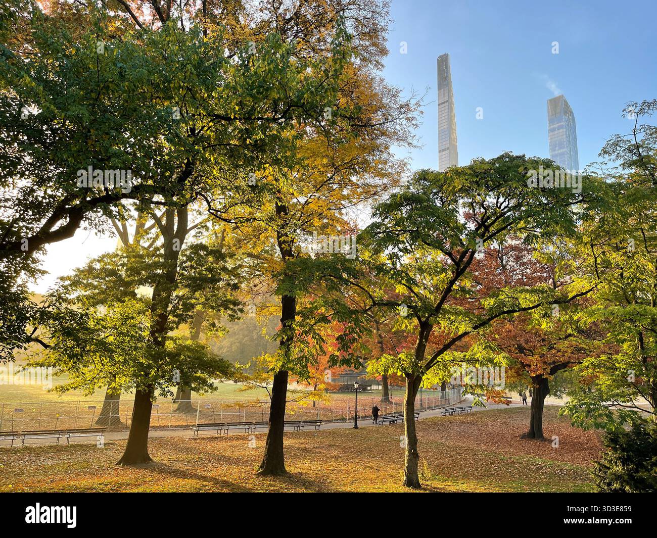 Central Park in autunno: Una brillante mostra di fogliame stagionale. - Immagine stock catturata con smartphone