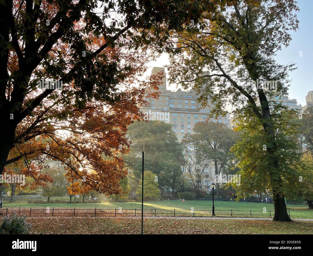 Central Park in autunno: Una brillante mostra di fogliame stagionale. - Immagine stock catturata con smartphone