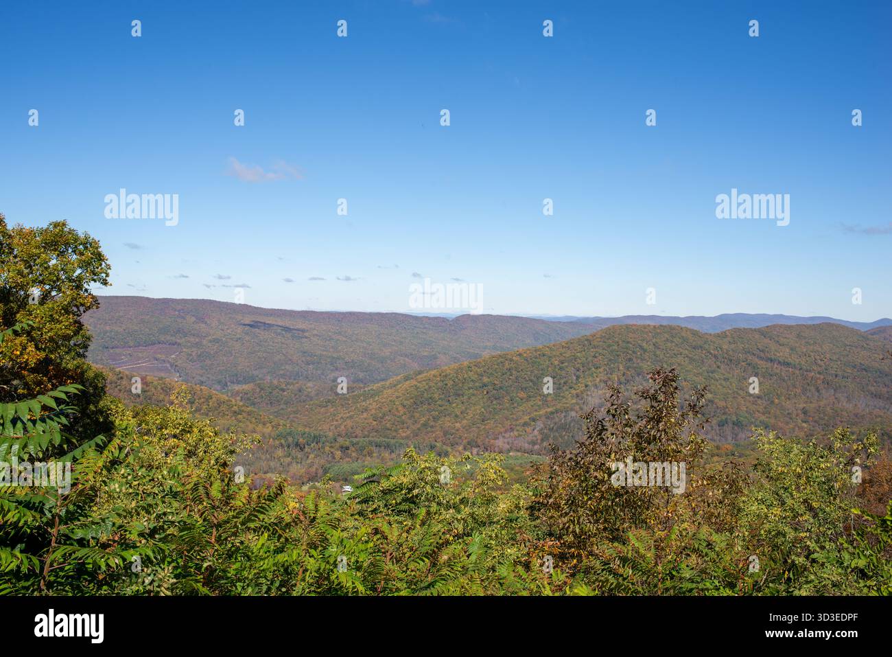 Scene autunnali sui sentieri dell'autostrada 311, tra cui l'Appalachian Trail nella contea di Roanoke, Virginia Foto Stock