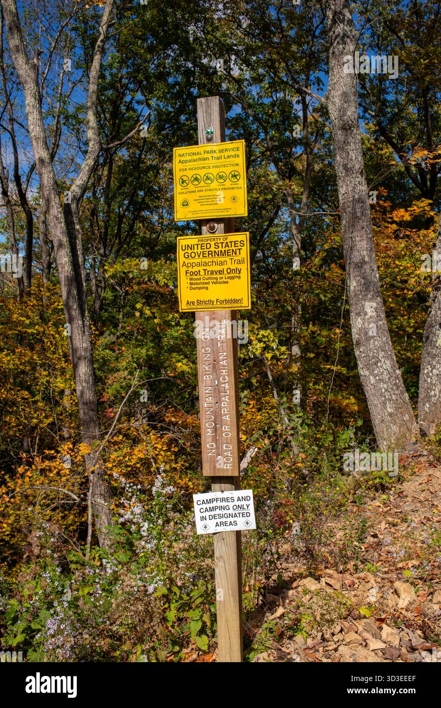 Scene autunnali sui sentieri dell'autostrada 311, tra cui l'Appalachian Trail nella contea di Roanoke, Virginia Foto Stock