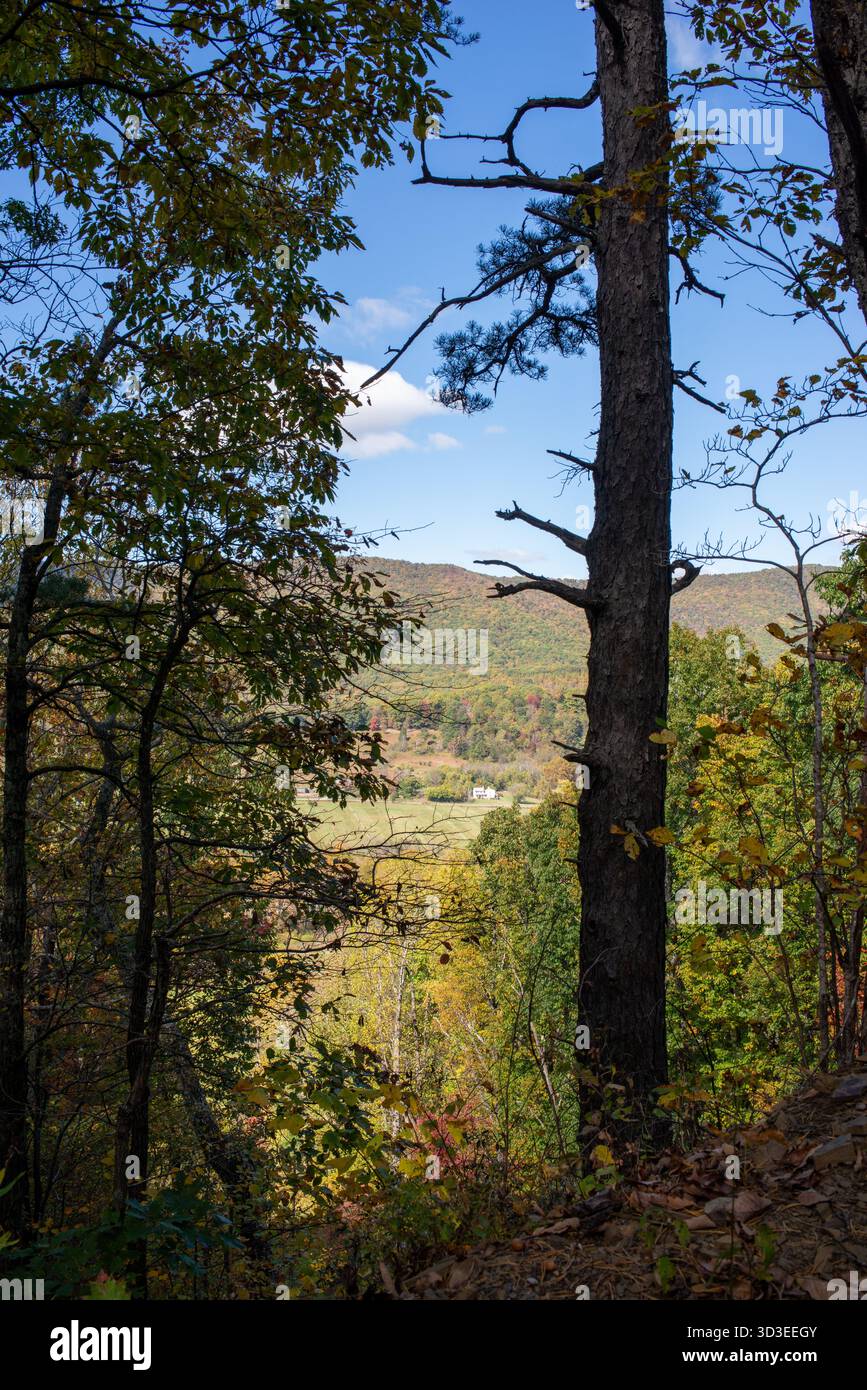 Scene autunnali sui sentieri dell'autostrada 311, tra cui l'Appalachian Trail nella contea di Roanoke, Virginia Foto Stock