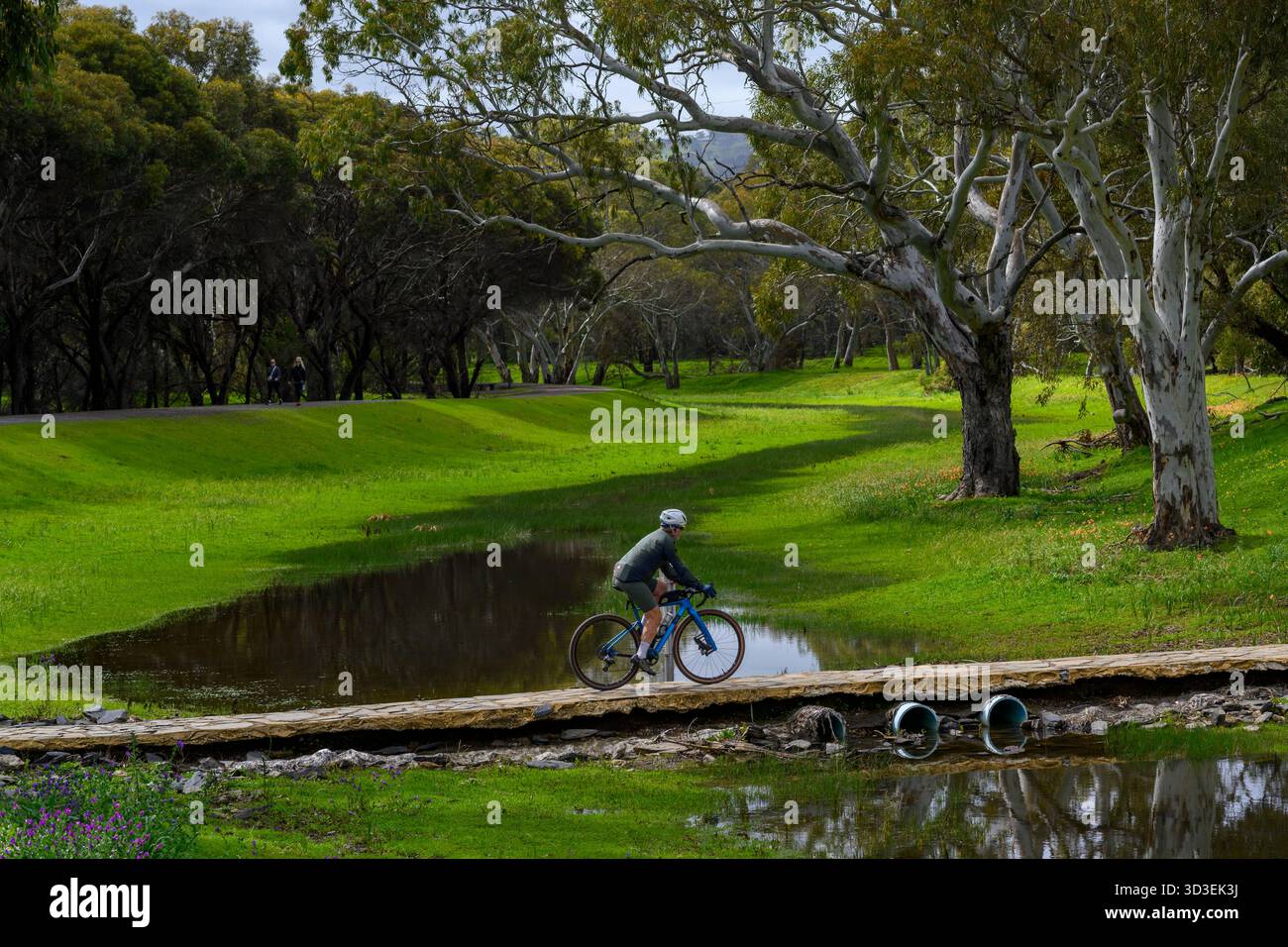 Allenamento ciclistico nel parco cittadino, allenamento cardio all'aperto e attività di fitness endurance Foto Stock