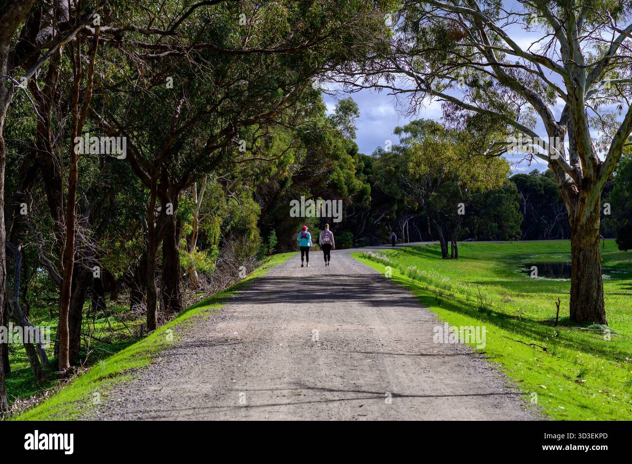 Donne che camminano in un parco cittadino e si divertono all'aperto e all'aria aperta per il fitness e il benessere. Foto Stock